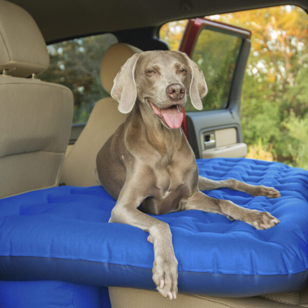 Lifestyle photo of Truck backseat mattress in Blue in truck with brown dog