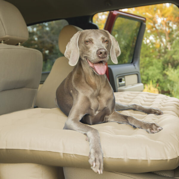 Lifestyle photo of Truck backseat mattress in Tan in truck with brown dog sitting sitting in middle